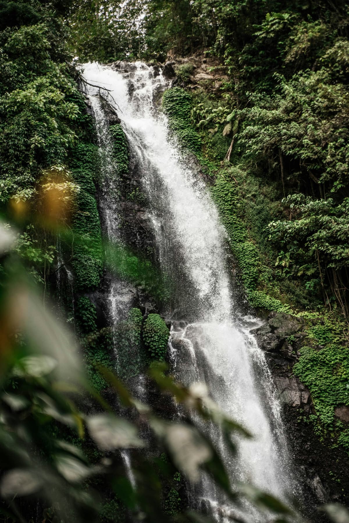 Munduk Waterfall in the misty highlands