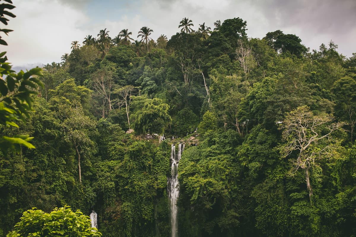 Multiple cascades of Sekumpul Waterfall